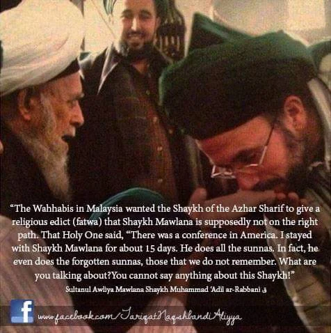 Scheich Nazim - Wahhabis