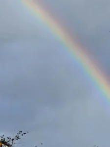 Regenbogen