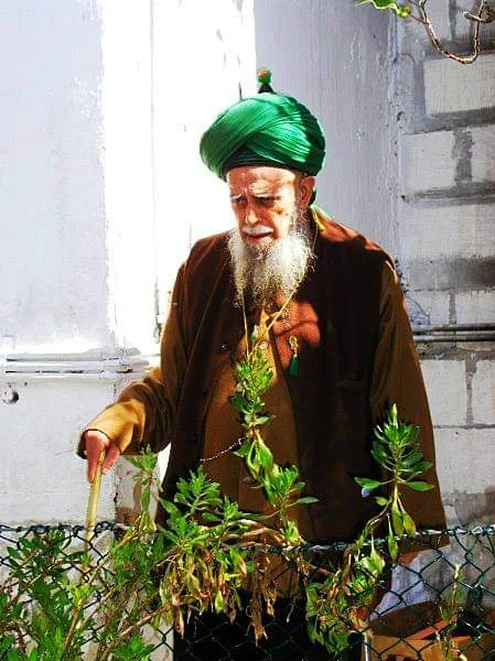 Shaykh Nazim 63